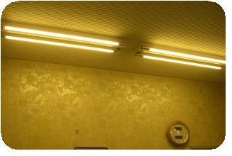 LED直管蛍光灯ビジネスホテル事例 LED直管蛍光灯ビジネスホテル事例
